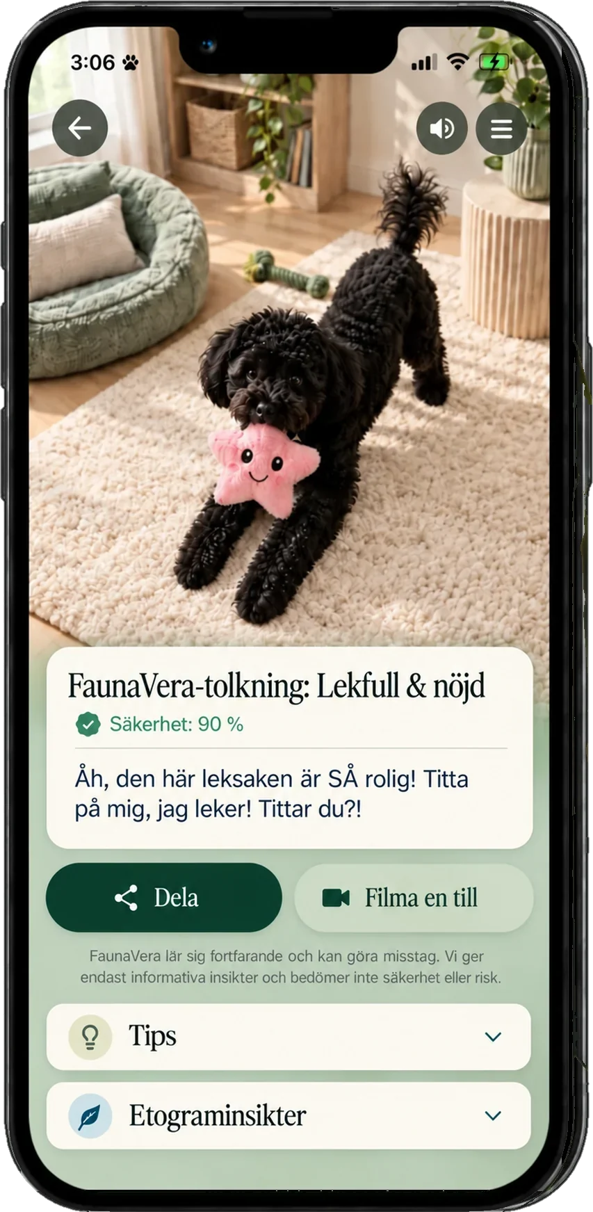 FaunaVera-resultat som visar en tolkning, säkerhet, Djurets röst, tips och etograminsikter